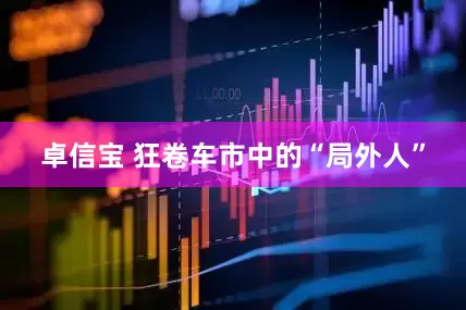 卓信宝 狂卷车市中的“局外人”