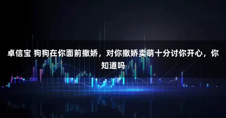 卓信宝 狗狗在你面前撒娇，对你撒娇卖萌十分讨你开心，你知道吗