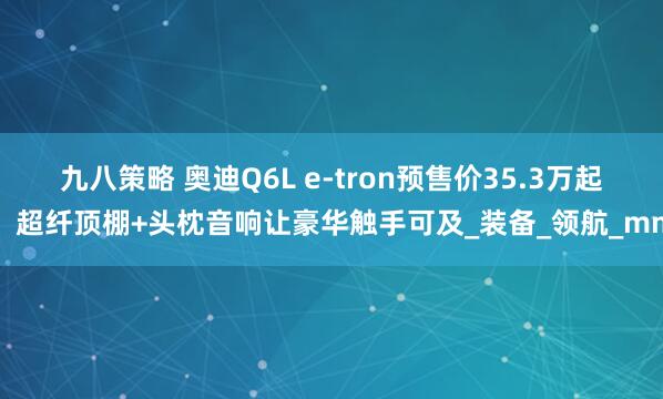 九八策略 奥迪Q6L e-tron预售价35.3万起!超纤顶棚+头枕音响让豪华触手可及_装备_领航_mm