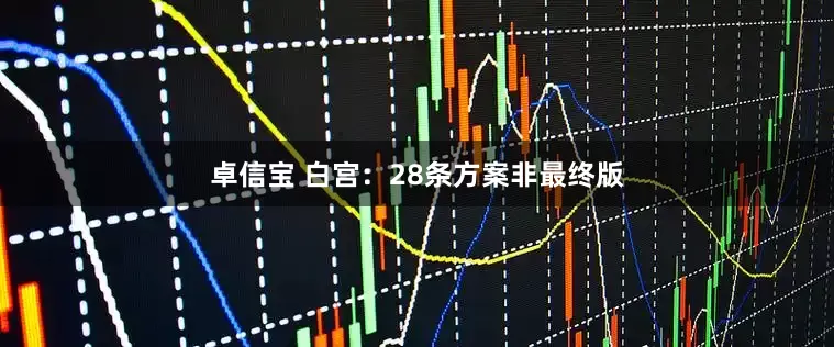 卓信宝 白宫：28条方案非最终版