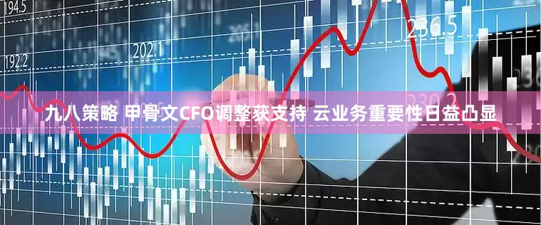 九八策略 甲骨文CFO调整获支持 云业务重要性日益凸显